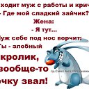 ���� �������, �����, 43 ���� - ��������� 2 ��� 2016 � ������ ������ ��������