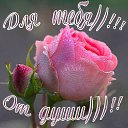 ���� @Alla@, ������ - ��������� 22 ������ 2016 � ������ �������� ��������