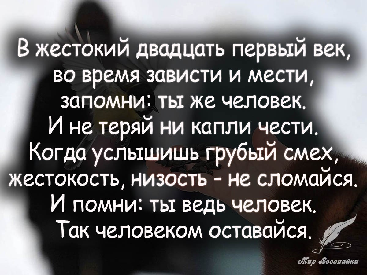        ,      - <a href=