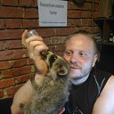 ���� ������, ������� - ��������� 10 ������� 2016 � ������ ������ ��������