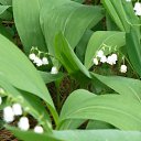 ���� ����, ������ - ��������� 24 ��� 2016 � ������ ��������,�������, �������� ��� ������...�