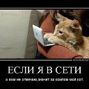 ���� ������, ������, 46 ��� - ��������� 16 ������� 2016 � ������ ���� ����������