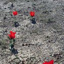 ���� ��������, �������� - ��������� 21 ������ 2016 � ������ ������ ��������