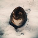 ���� �������, �����-���������, 55 ��� - ��������� 3 ������� 2016 � ������ ��������