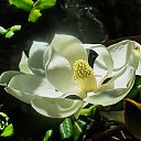  ,  -  15  2016    13    \