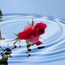 ���� ����/������, ������ �����, 72 ���� - ��������� 11 ����� 2016 � ������ ���� ����������