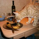 ���� �������, �����-���������, 55 ��� - ��������� 3 ������� 2016 � ������ ��������