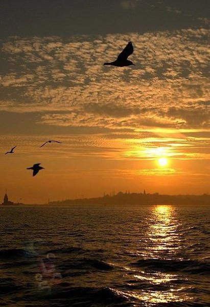 Там будут море, теплый вечер, Песок и пирс на берегу, И ни одной уставшей мысли В мозгу. - 6