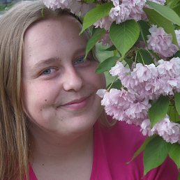 ����, ����, 33 ����