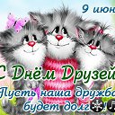 ���� �����, �����, 57 ��� - ��������� 9 ���� 2016 � ������ ������ ��������