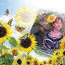  Vika, , 48  -  17  2016    