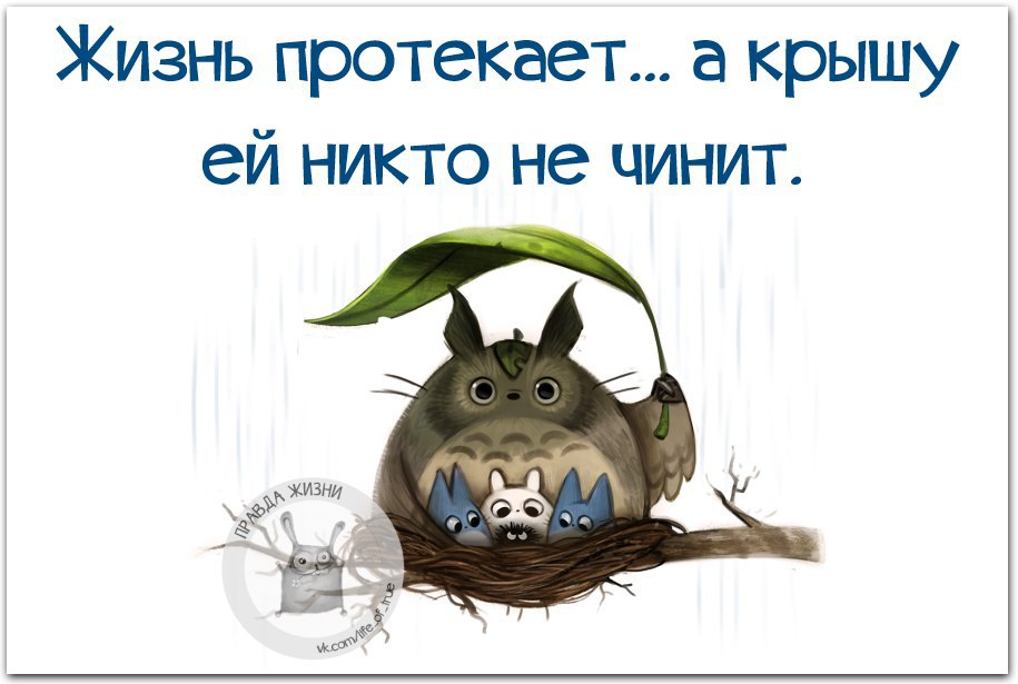 Правда Жизни - 18 июня 2016 в 19:50