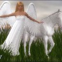 ���� ��������, ��������, 67 ��� - ��������� 12 ������ 2016 � ������ ������ ��������