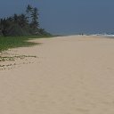 ���� ����, �������� - ��������� 14 ����� 2016 � ������ �SRI - LANKA - ( P ) 2016�