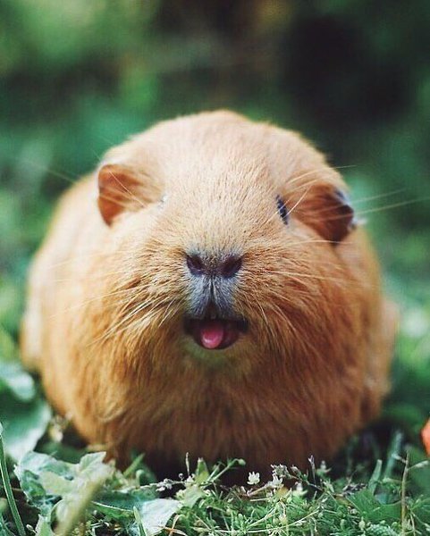 ��� �� ������� �������� - 2