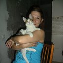 ���� �����, ����������, 41 ��� - ��������� 23 ���� 2016 � ������ ���� ����������