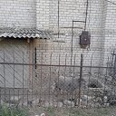 ���� ���������, �������������� - ��������� 8 �������� 2016 � ������ �����