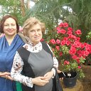 ���� ������, ������, 66 ��� - ��������� 12 ������ 2016 � ������ ������������� ���