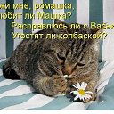 ���� ����������, ������ - ��������� 21 ����� 2016 � ������ ������ ��������