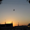 ���� ��������, �����������, 61 ��� - ��������� 27 ���� 2016 � ������ ��������