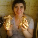 ���� �������, ����� - ��������� 28 ���� 2016 � ������ ���