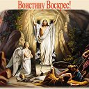 ���� ���������, �������, 46 ��� - ��������� 1 ��� 2016 � ������ ������ ��������