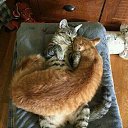 ���� ����, ��������, 50 ��� - ��������� 26 ������ 2016