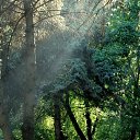  ,  , 61  -  13  2016    