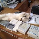 ���� ���� ��������, ��������������, 62 ���� - ��������� 9 �������� 2016 � ������ ������