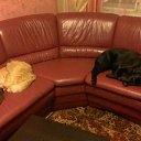���� Olga, �����������, 64 ���� - ��������� 1 ������� 2016 � ������ ���� ��������
