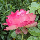 ���� �������� � ����...))) �� ������� �������