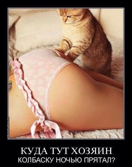fotostrana.ru/public/341821.присоединяйся в наши ряды.............................