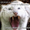  ,  , 63  -  12  2016    