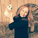 ���� ������, ������, 50 ��� - ��������� 24 ������� 2016 � ������ ���� ����������