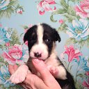 ���� �����, ��������, 58 ��� - ��������� 12 ���� 2016 � ������ ������