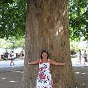 ���� ��������, ���� - ��������� 10 ���� 2016 � ������ ���� ����������