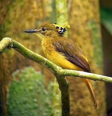 ��� ���������!!!)) ����������� ������ ����������� �������!!!! - 3