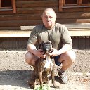 ���� ����������, ������, 54 ���� - ��������� 2 ���� 2016 � ������ ���� ����������