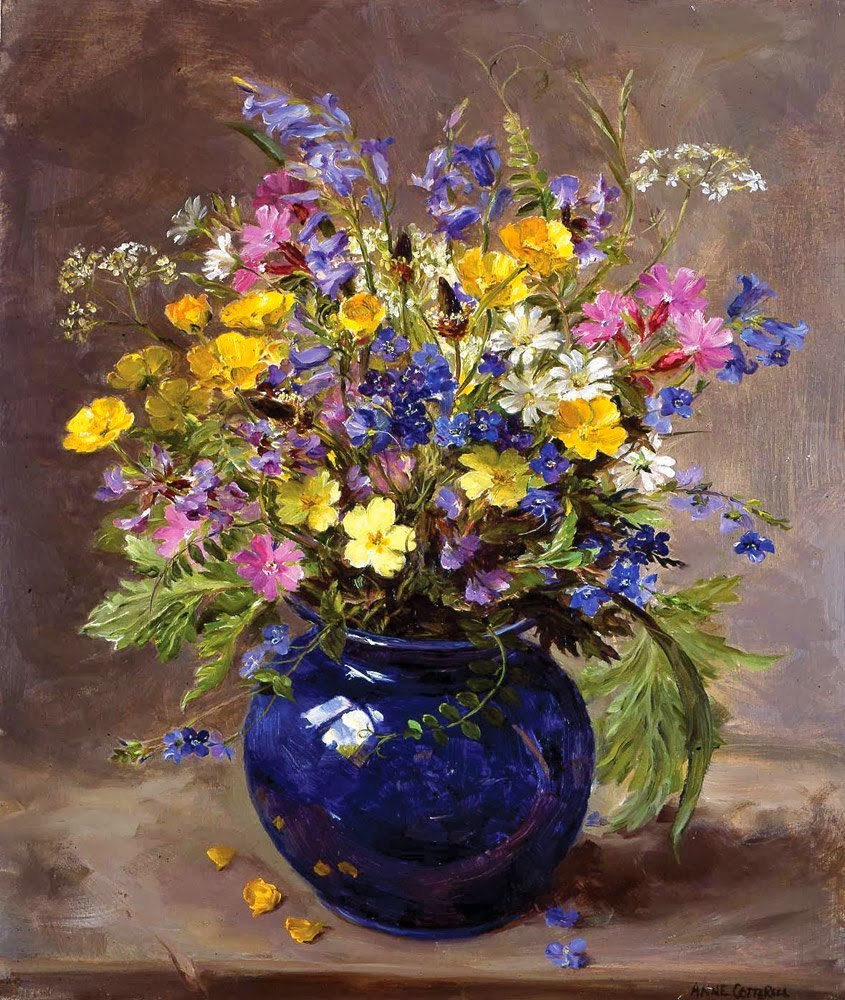 Anne Coterill