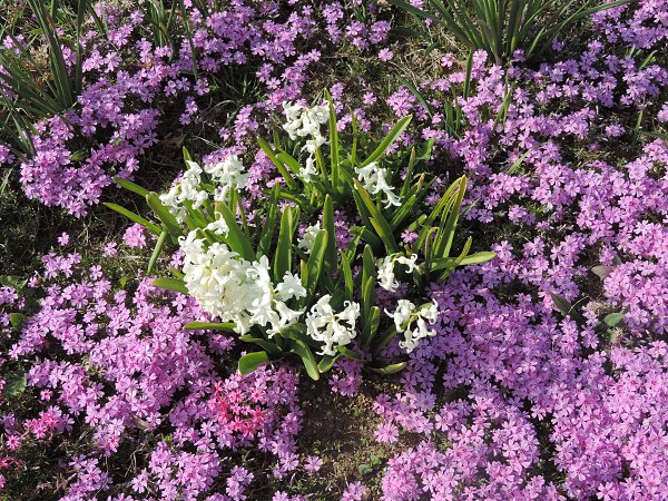 Aleksandr Voznii - 8 ������ 2016 � 23:12 - 2