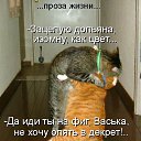  ********, - -  29  2016   
