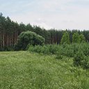 ���� ������, �������� - ��������� 7 ������� 2016 � ������ ���� ����������