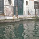 ���� ��op�, ����, 44 ���� - ��������� 30 ������� 2016 � ������ �����, ���������, �������, ���