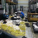 ���� �����, �����, 66 ��� - ��������� 28 ���� 2016 � ������ ���� ����� ����������