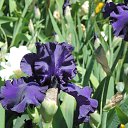  , , 60  -  16  2016    ,,18.05.16.