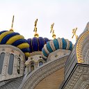 ���� ��������, ������ - ��������� 14 ����� 2016 � ������ ������������