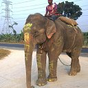 ���� Vickula, ����, 57 ��� - ��������� 28 ����� 2016 � ������ �����������