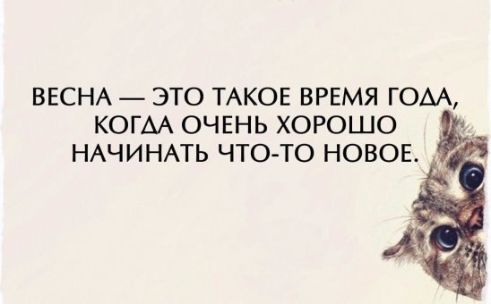  - 8  2016  19:18
