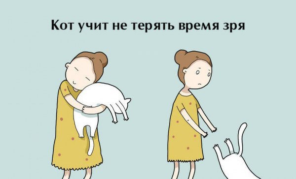 Десять плюсов жизни с котом - 5