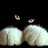 ���� Aliksaydr, ������, 50 ��� - ��������� 16 ������ 2016